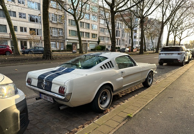 Ford Mustang Shelby G.T. 350, gespot door Joeri ( )
