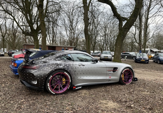 Mercedes-AMG GT R C190, gespot door Joeri ( )